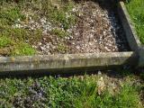 image of grave number 312841